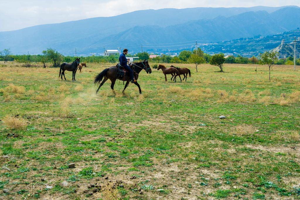 Zedazeni Hotel Mtsʼkhetʼa Esterno foto